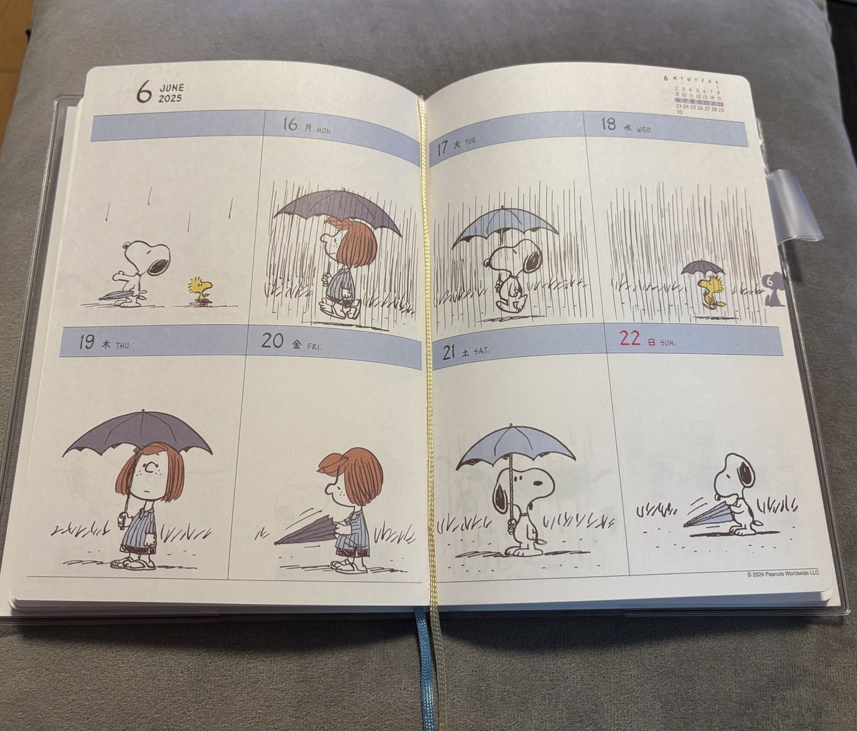 6月第3週
スヌーピースケジュール帳

今週は絵と違って蒸し暑いですね
水分とって体を癒しましょう🐾✨

#SNOOPY
#スヌーピー好きにはたまらない
#スヌーピー大人
#Peanuts