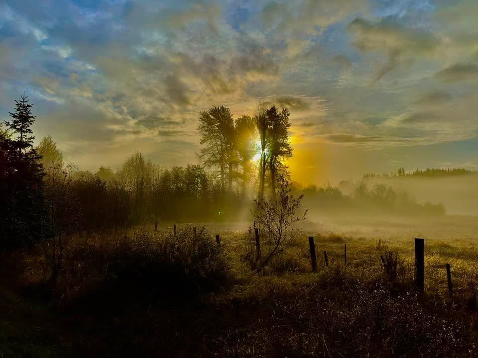 “But when He, the Spirit of truth comes, He will guide you into all the truth..” - John 16:13 

Have a blessed week my friends, be kind! 🙏🩶
