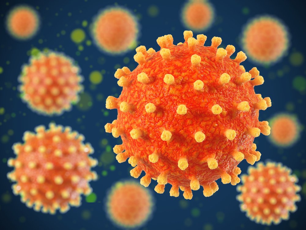 AspainEric's tweet photo. 📢LET'S TALK ABOUT #Ivermectin 
#Testimonials - 009 
➡️ Ivermectin treats #HerpesSimplex and #HerpesZoster
➡️ @meds4go
➡️ Ivermectin Inhibits Bovine Herpesvirus 1 DNA Polymerase Nuclear Import and Interferes With Viral Replication. BoHV-1 infection leads to lesions in the respiratory, nervous, reproductive, and digestive systems in infected-bovines

@MakisMD @DrAlexareyes @toobaffled @JohnDParody