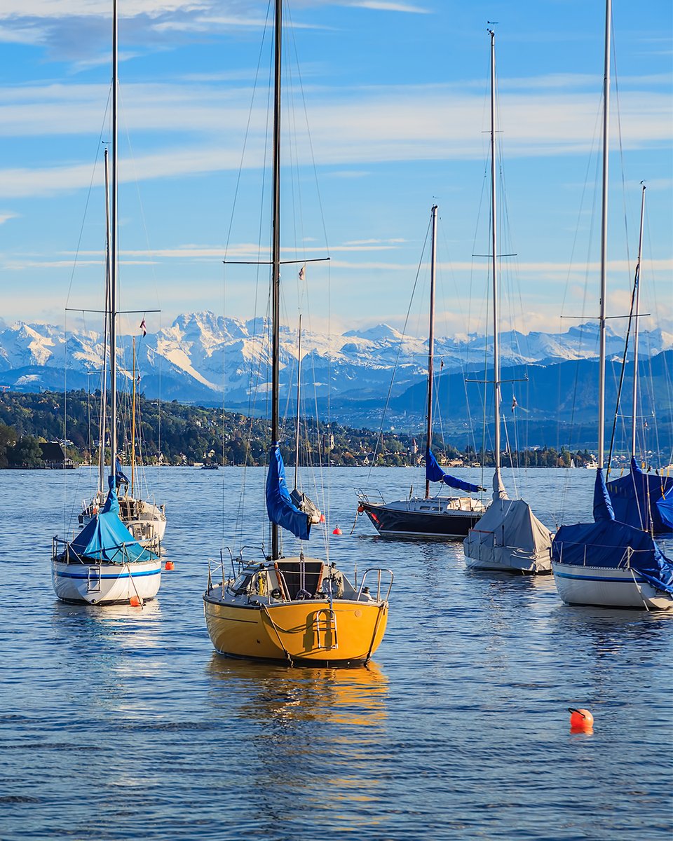 سافر على أي من الرحلات اليومية إلى فرانكفورت مع طيران الخليج، وانطلق لزيارة أجمل مدن أوروبا.
من قنوات أمستردام الساحرة، إلى المساحات الخضراء في هامبورغ، وروعة الفن المعماري في براغ، وصولًا إلى إطلالات الألب الخلابة في زيورخ - مغامرتك الأوروبية تبدأ معنا.

#طيران_الخليج #البحرين