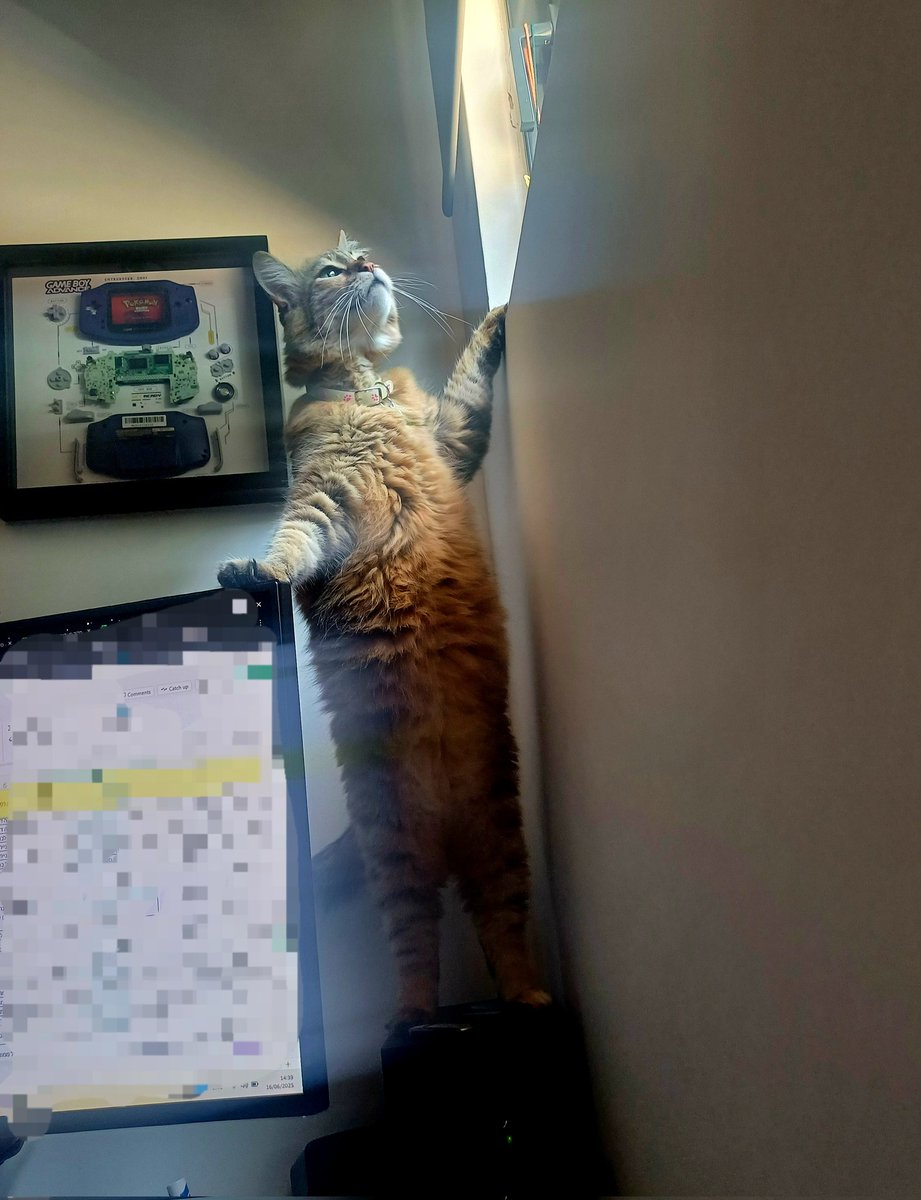 עבודה בימי מלחמה
(חיפוש על תקווה, 2025)
#שלומציוץ
#להחמיד_את_הפיד