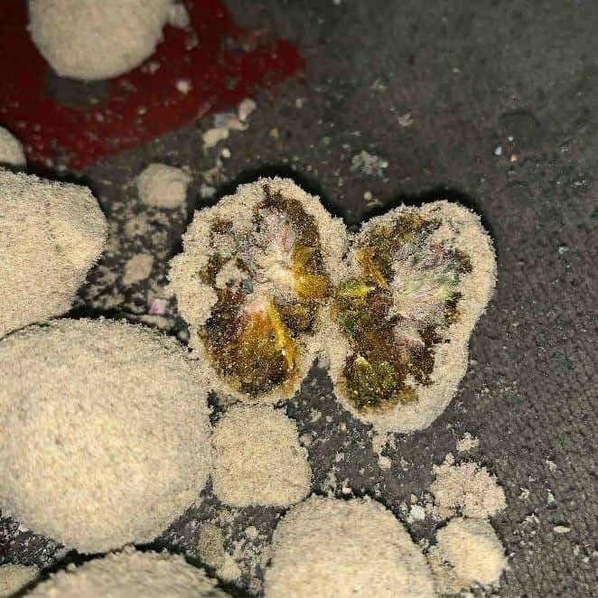 Moonrock 🌙 

BUY HERE 👉 stonies.shop/collections/th…