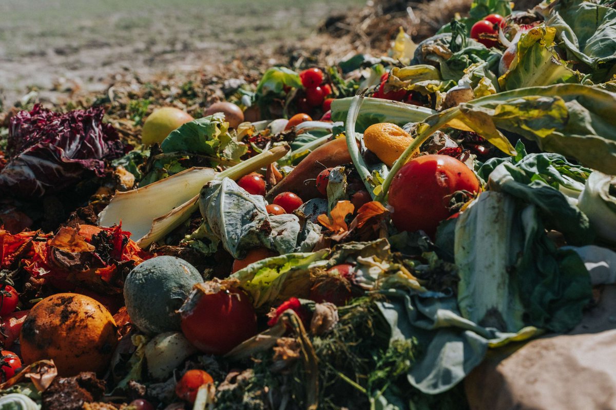 Food waste offers real potential as a renewable energy source if utilities can manage the challenges associated with processing it.

Carollo’s Zhongtian Li and Christian Tasser take a deep dive into the complexities of feedstock variability.

Learn more: 
carollo.com/publications/f…