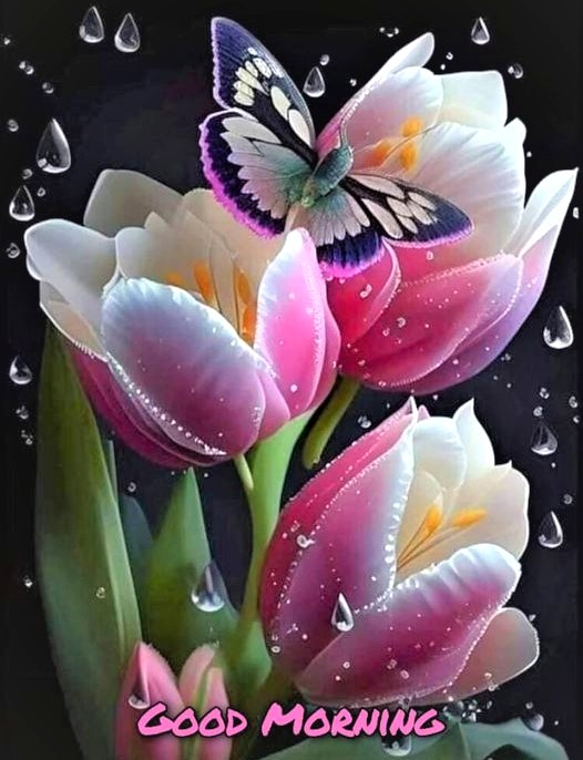 🌞☕ Bonjour America 🇺🇸 🦅

💖 Have a Joyful &amp; Blessed Week 🌎