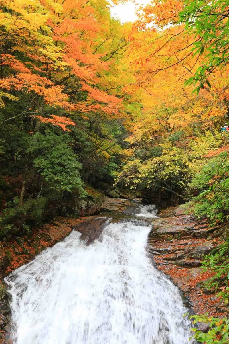 Traveling picture (@magical_naturee) on Twitter photo 
