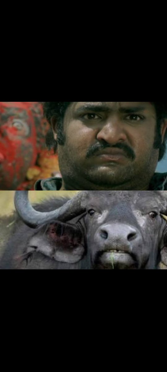 Darling Vamsi tweet media