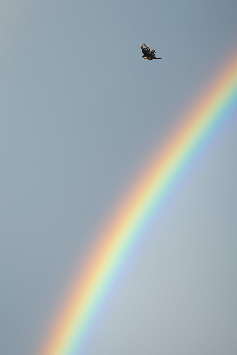 Havenlust's tweet photo. For You https://t.co/iaZwmMNICH
