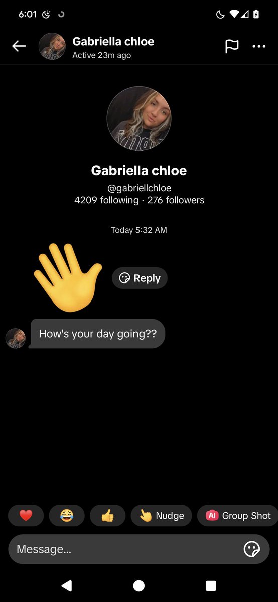 StevenRHulse's tweet photo. @oohDB4lalaL hey, I think there's a fake account posing as you on TikTok https://t.co/vYtIhksFHv