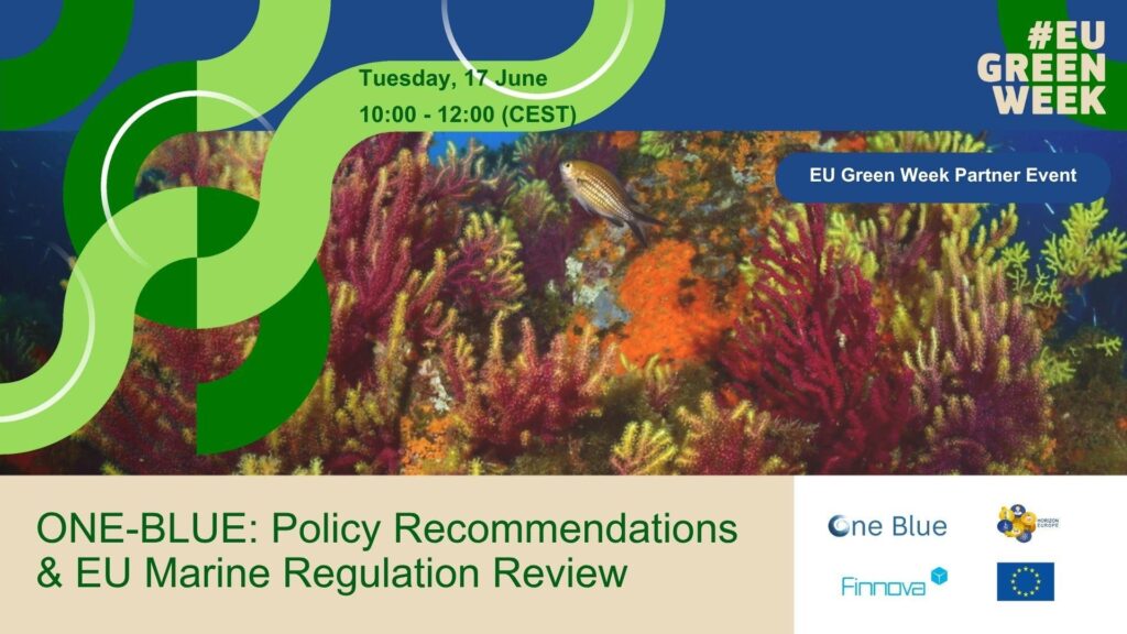 🌊 Join @ONE_BLUE_EU for a webinar on EU marine policy!

📅 17 June | 🕙 10:00–12:00 CEST | 💻 Online

🔍 Dive into marine pollution, regulation updates &amp; policy briefs from EU-funded projects.

👉 Register: eurocean.org/np4/1905.html

#EUGreenWeek #BlueEconomy #MarinePolicy