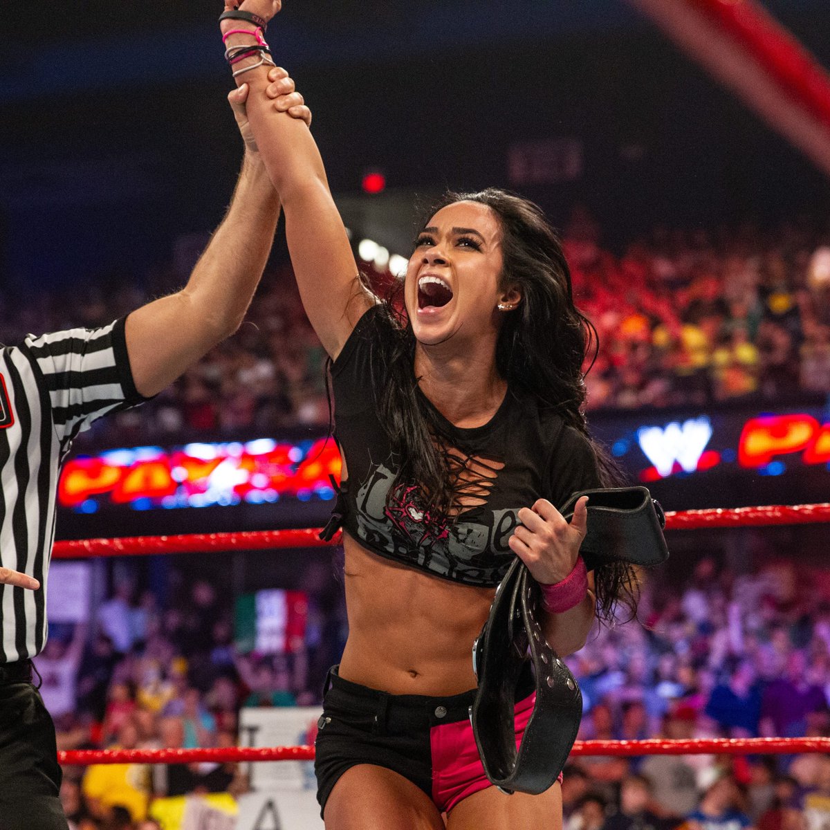 USANetwork's tweet image. 12 years ago, AJ Lee defeated Kaitlyn to become Divas Champion, kicking off her historic 295 day reign! #WWE