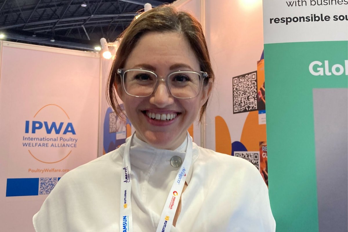 Dozens of food retail and hospitality companies in Asia made commitments to source cage-free eggs 5 years ago. Now, the deadline looms, as the transition needs to be completed by the end of 2025. 

Read more!
👉 ow.ly/CUBq50W9U9H

#Poultry #Eggs #Cagefree #Welfare