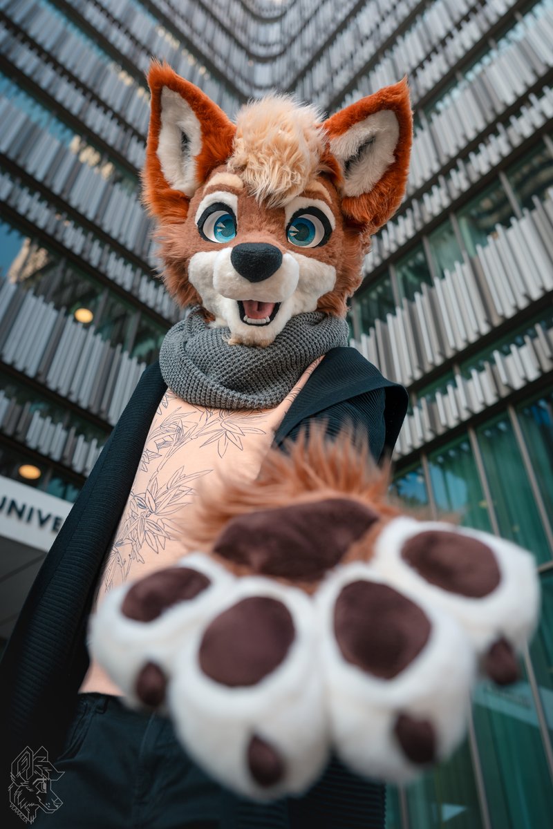 vlaaacek's tweet image. 🏙️

🔺🔻 @FlupVolta