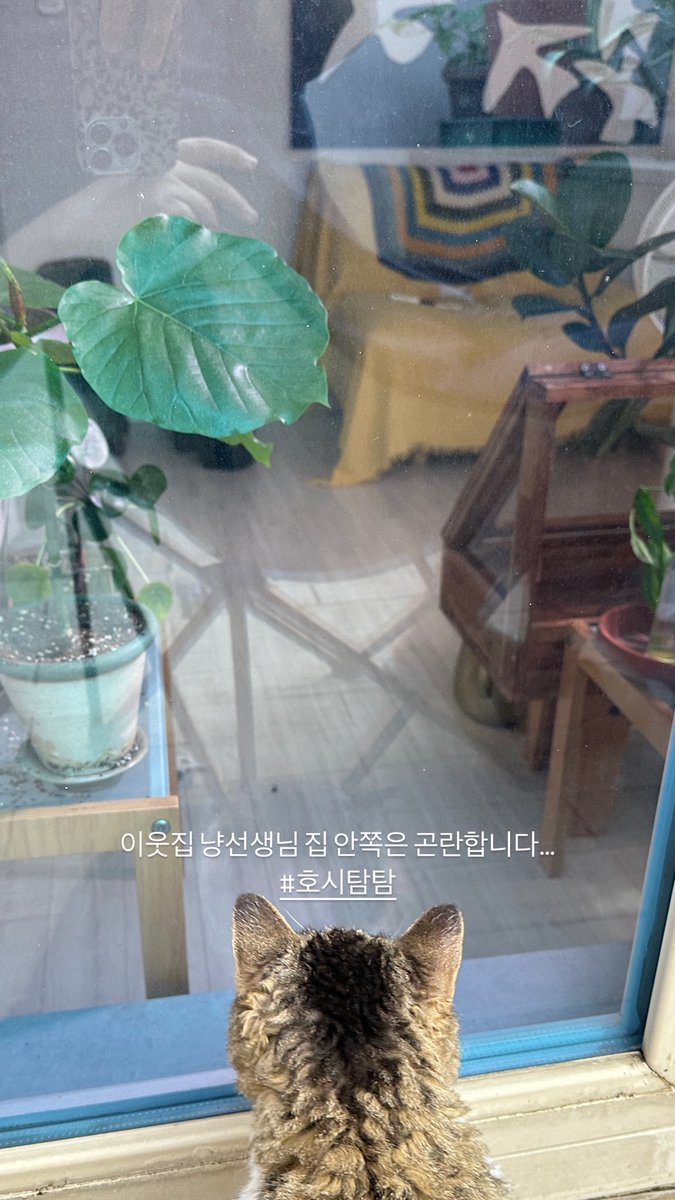 식물이랑 tweet media