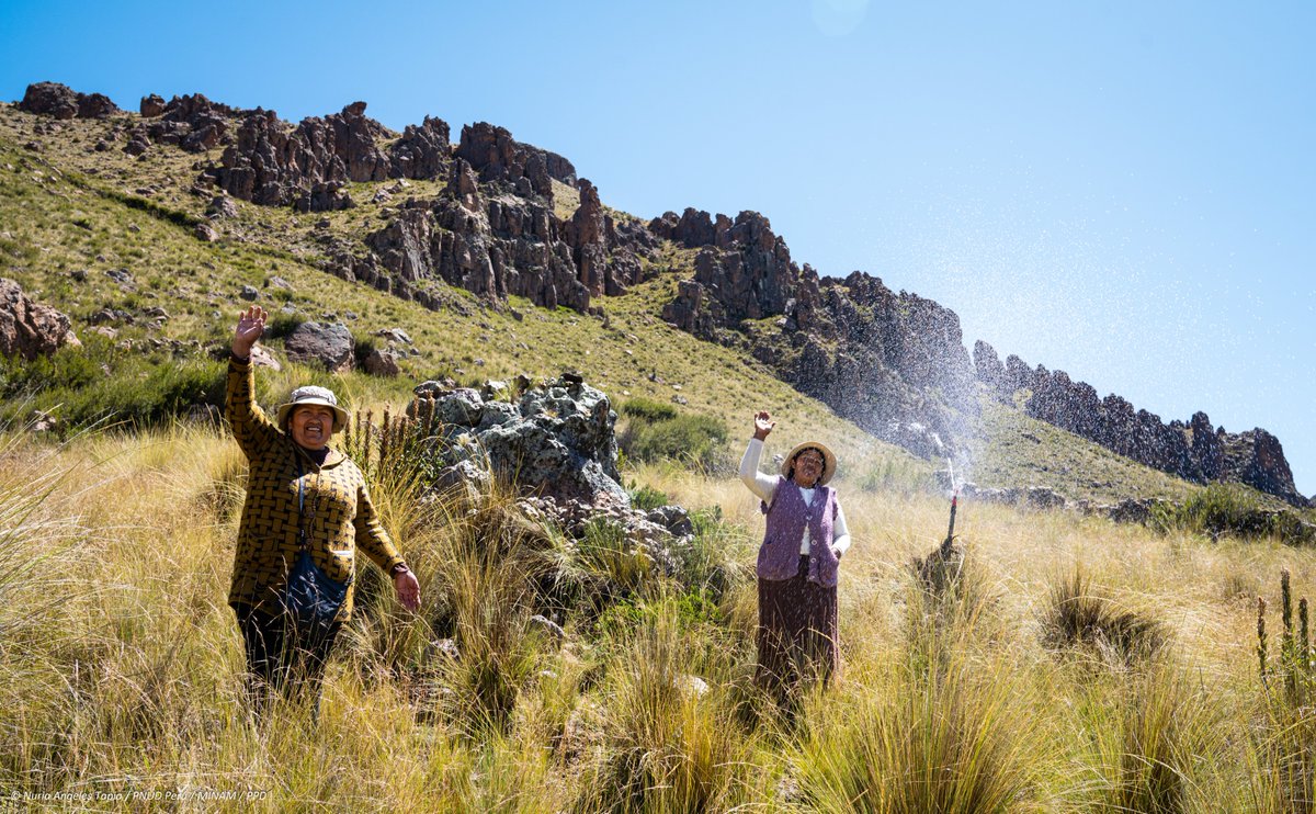 PPD Perú tweet media