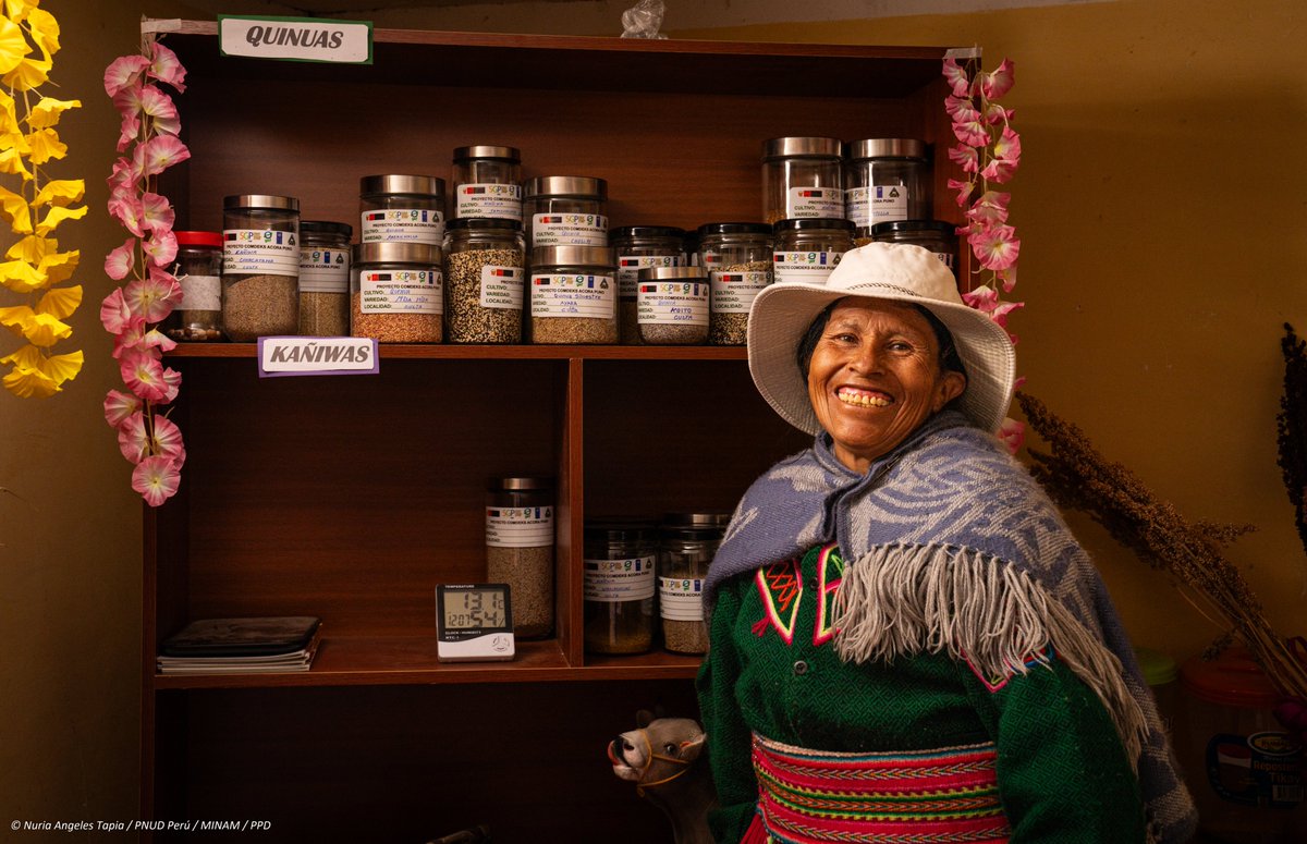 PPD Perú tweet media