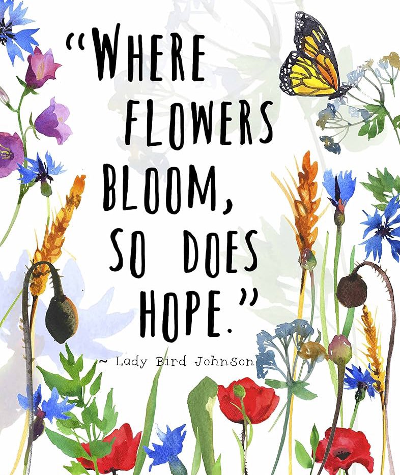 Monday Friendly Reminder… Where flowers bloom, so does hope. 🍃🌼🙏 #MondayMotivation #Hope #PostiveVibesOnly 💜