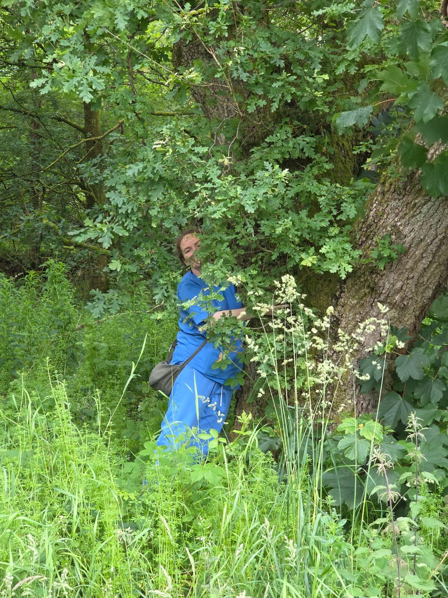 Liz and Margaret went out for a stroll to see what wildflowers they could find this morning. They also had some mindful moments listening to the birds and Louise showed them the benefits of tree hugging! #30DaysWild