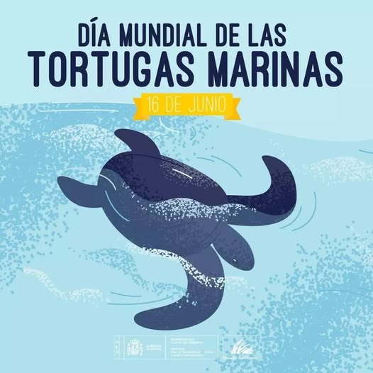 DÍA MUNDIAL DE LAS TORTUGAS MARINAS.