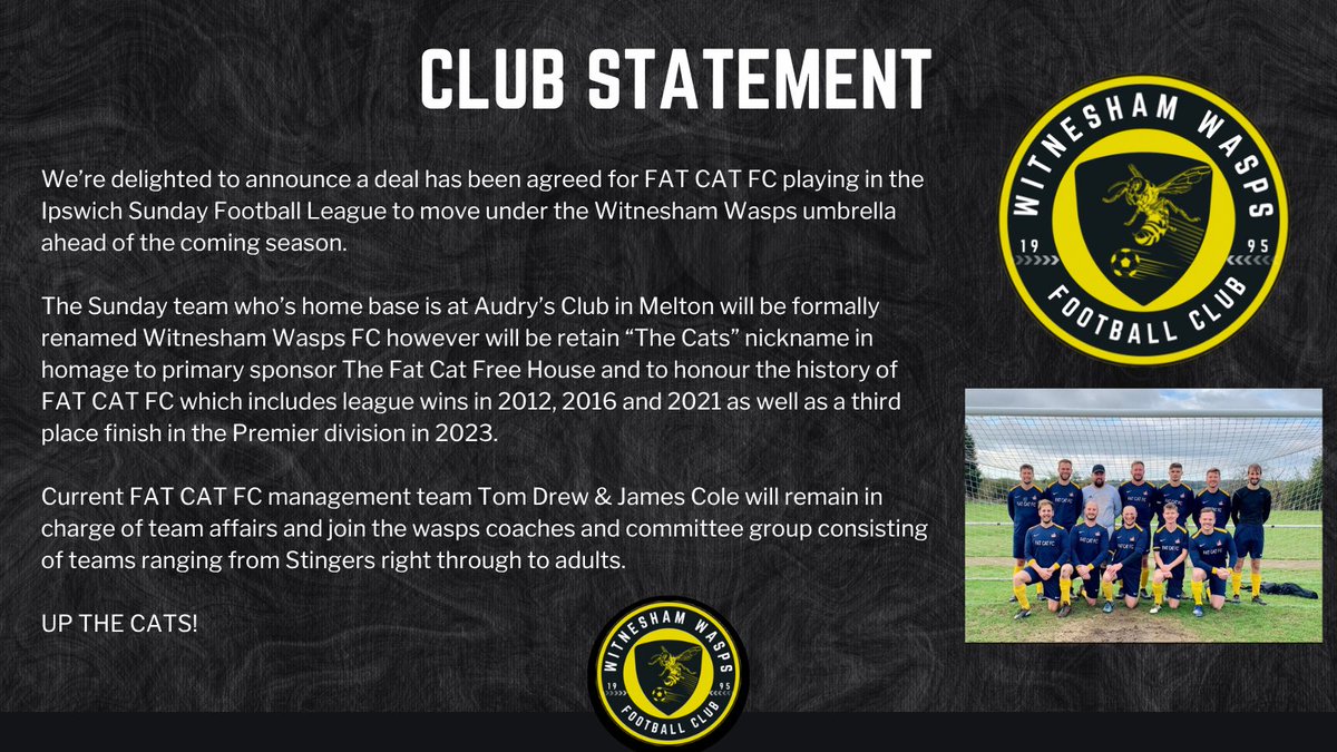 witneshamwasps's tweet image. If you’re interested in joining the adult men’s Sunday morning side reach out to Tom on 07938949211 for further details. 

#UpTheCat🐈 #UpTheWasps🐝