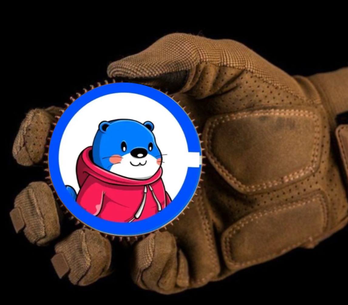 0xchillguys6696's tweet photo. @1000xgirl $BOBR is locked, loaded, and ready to launch! 🦫📈

Strong community, active devs, and momentum building fast.

This beaver’s not just chewing wood — it’s carving a path to 100x. 🚀

@BasedBOBR 

0x2531ec1720e5d1bc82052585271d4be3f43e392f

#BOBR #BasedBOBR #memecoins #BaseChain https://t.co/3ZSm3JKbPs