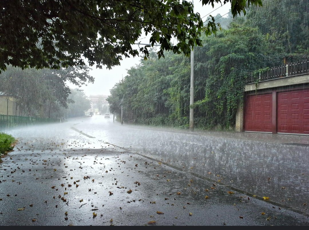 Buenos días zurdos de mierda! Acuamanes que van camino al trabajo con las patas mojas! Wajajajaja que hoy sea un gran lunes para todos! Cierren la boca para evitar accidentes!
Abrazos al que pase bien apretado!
#FelizLunesParaTodos 
#Lluvias