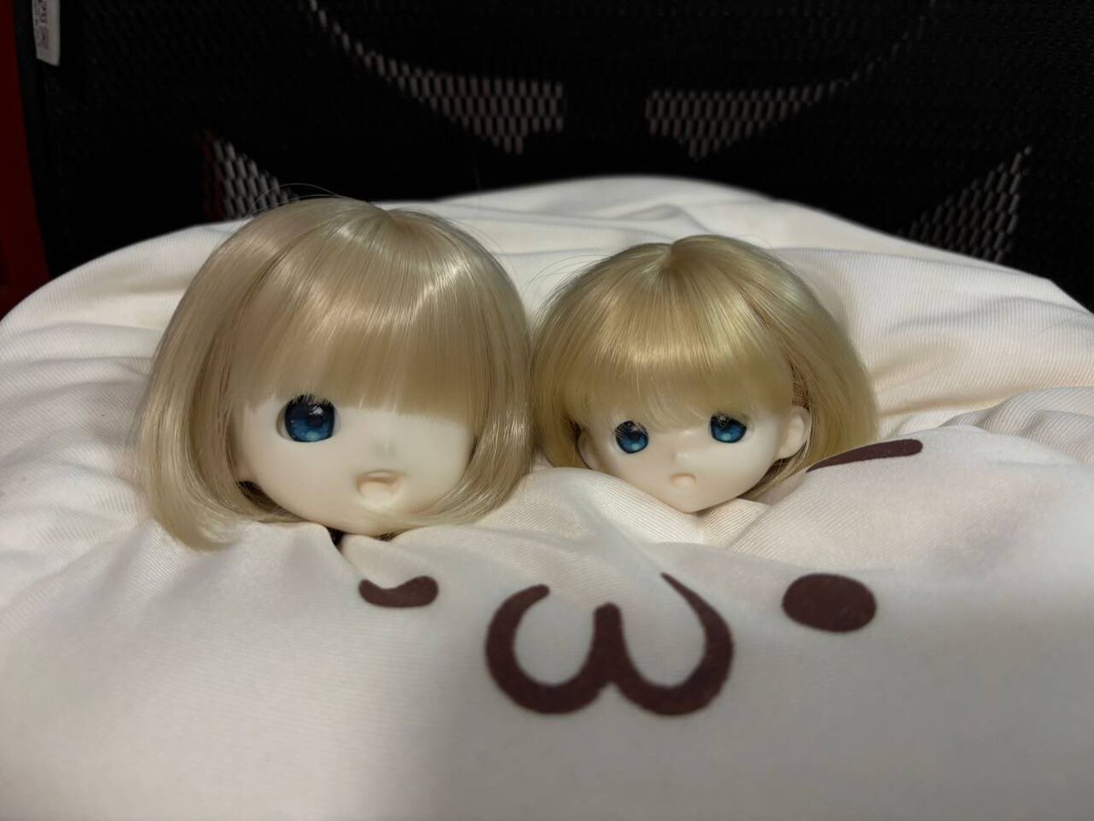 MaokaiLen's tweet photo. 房子比妹妹先做好了笑死 https://t.co/eCMIOv1hUS