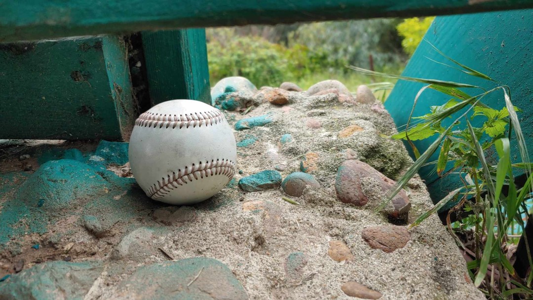 In mud eels are / In clay none are / In pine tar is / In oak none is. New episode is: waywordradio.org/straight-and-n…