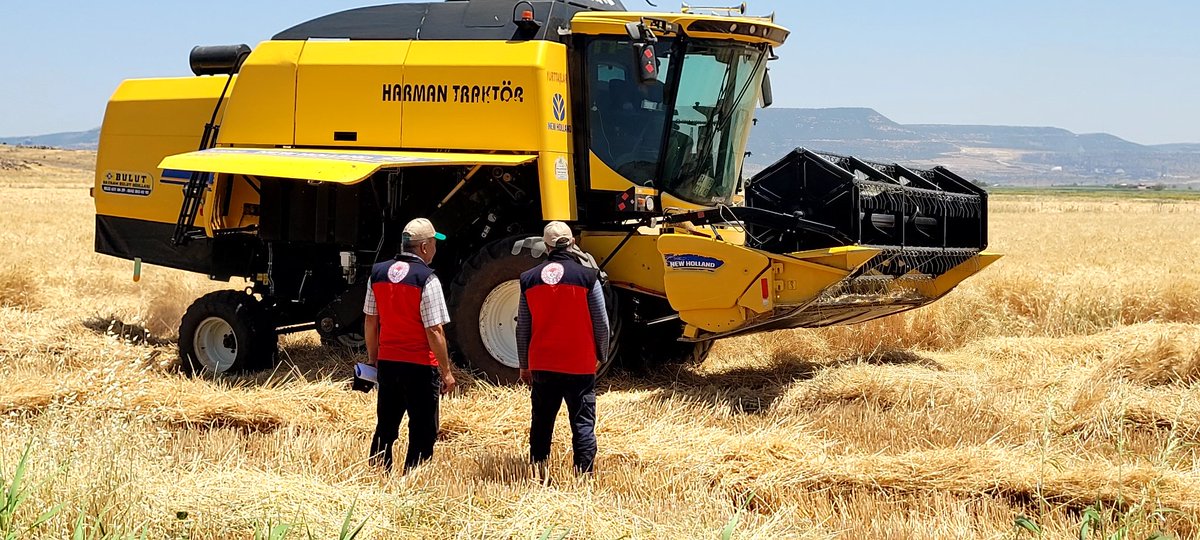 Turkoglutarim's tweet photo. 🌾 Türkoğlu İlçemizin Bereketli Topraklarında Hasat Zamanı..

Türkoğlu Kaymakamımız Sayın Mustafa Nevzat MERCAN, İlçe Tarım ve Orman Müdürümüz Ali ŞAKALAR ve teknik ekiplerimizle birlikte buğday tarlalarında hasat çalışmalarına eşlik etti.
@TrkoluKaymakam1
@AliSakalar46 https://t.co/cPqVuM1xtk