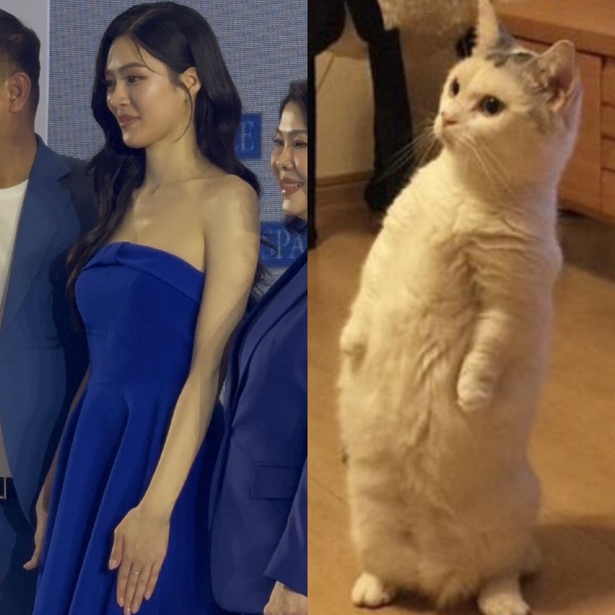 spbleetae's tweet photo. ช่วยด้วย เกร็งมาก55555555555555555555

LINGLING PRESENTER SPARKLE
#SparklexLinglingEvent https://t.co/bNzR2XdaRf