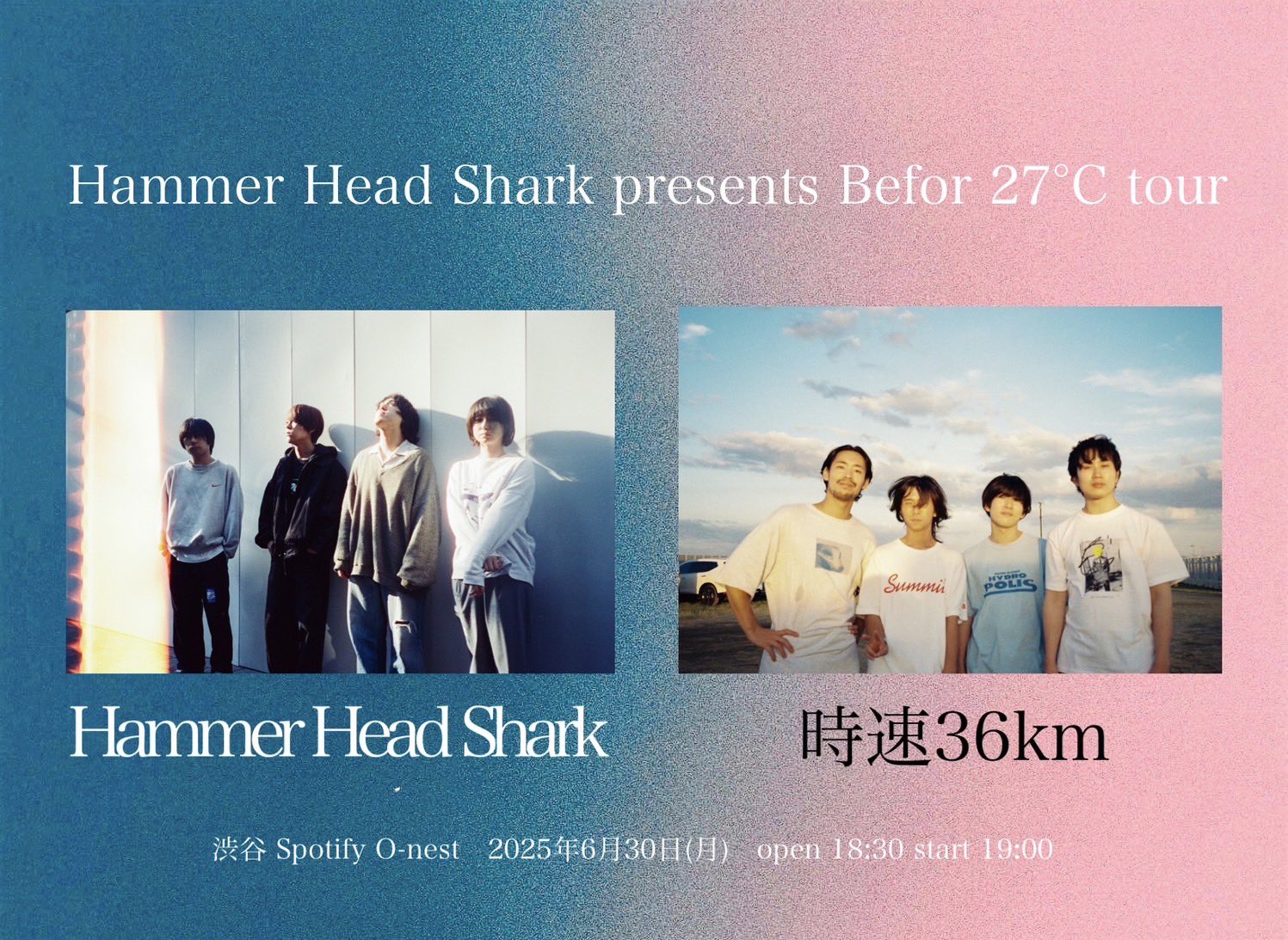 リアル Hammer Head  X: on Shark コレクション