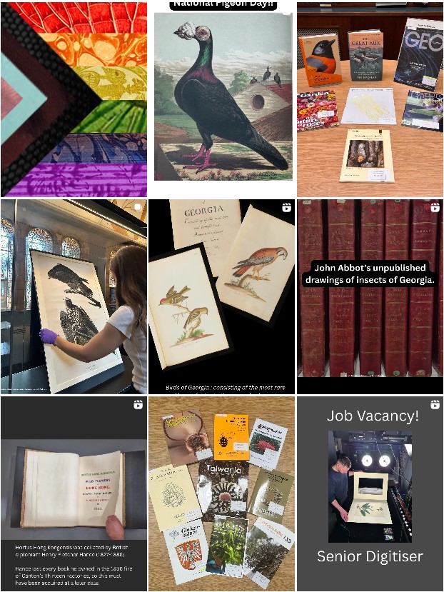 NHM_Library's tweet image. We have moved to other platforms:

#BlueSky bsky.app/profile/nhmlib…

#Instagram instagram.com/nhm_library_ar…

We look forward to sharing our collections, research and work with you there.  

Alternatively, visit us at nhm.ac.uk/library