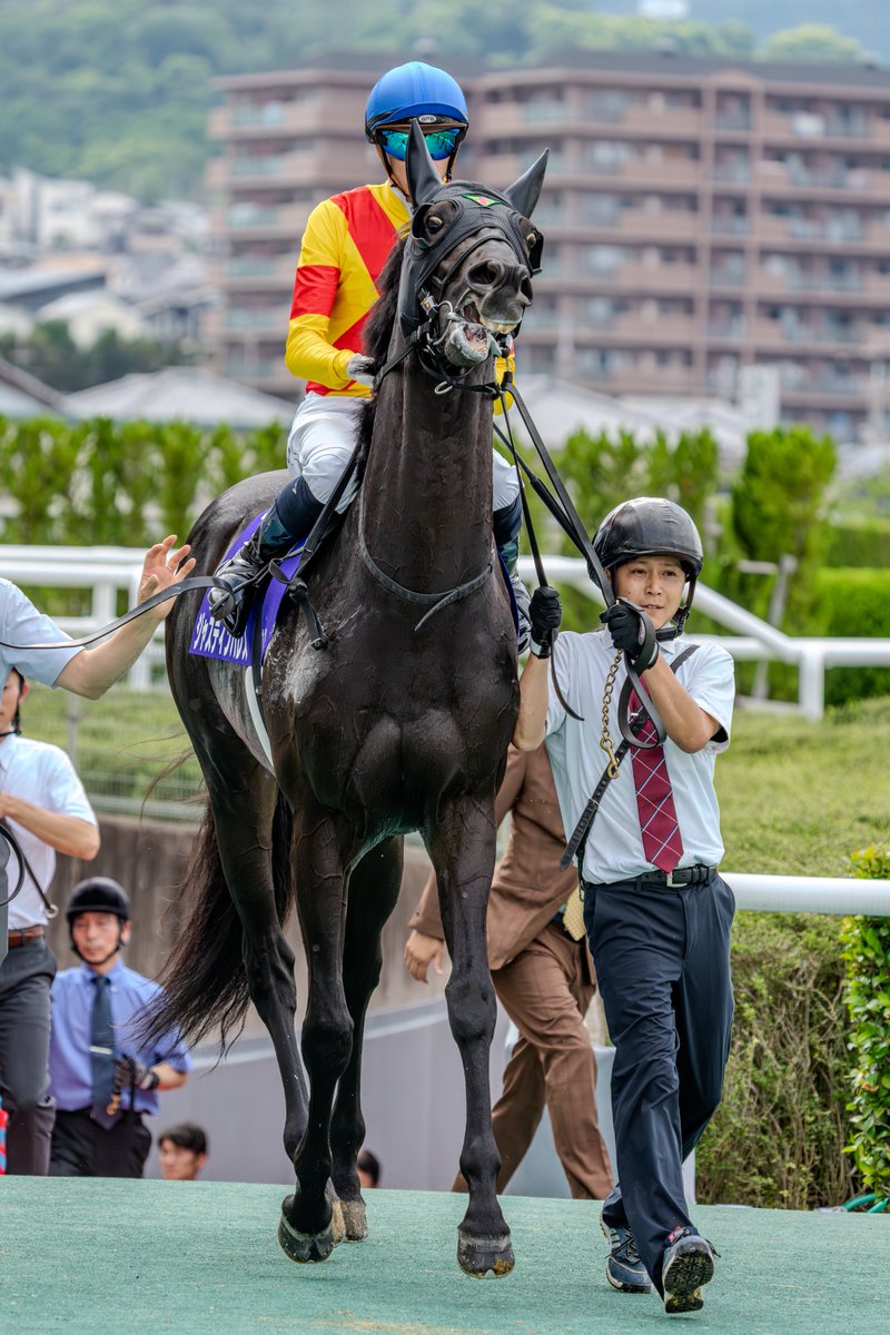 mosan_tk's tweet image. そうかこれが今日は走りまっせという表情だったのか
2025.6.15 阪神競馬場 11R 宝塚記念 
#ジャスティンパレス #ディー