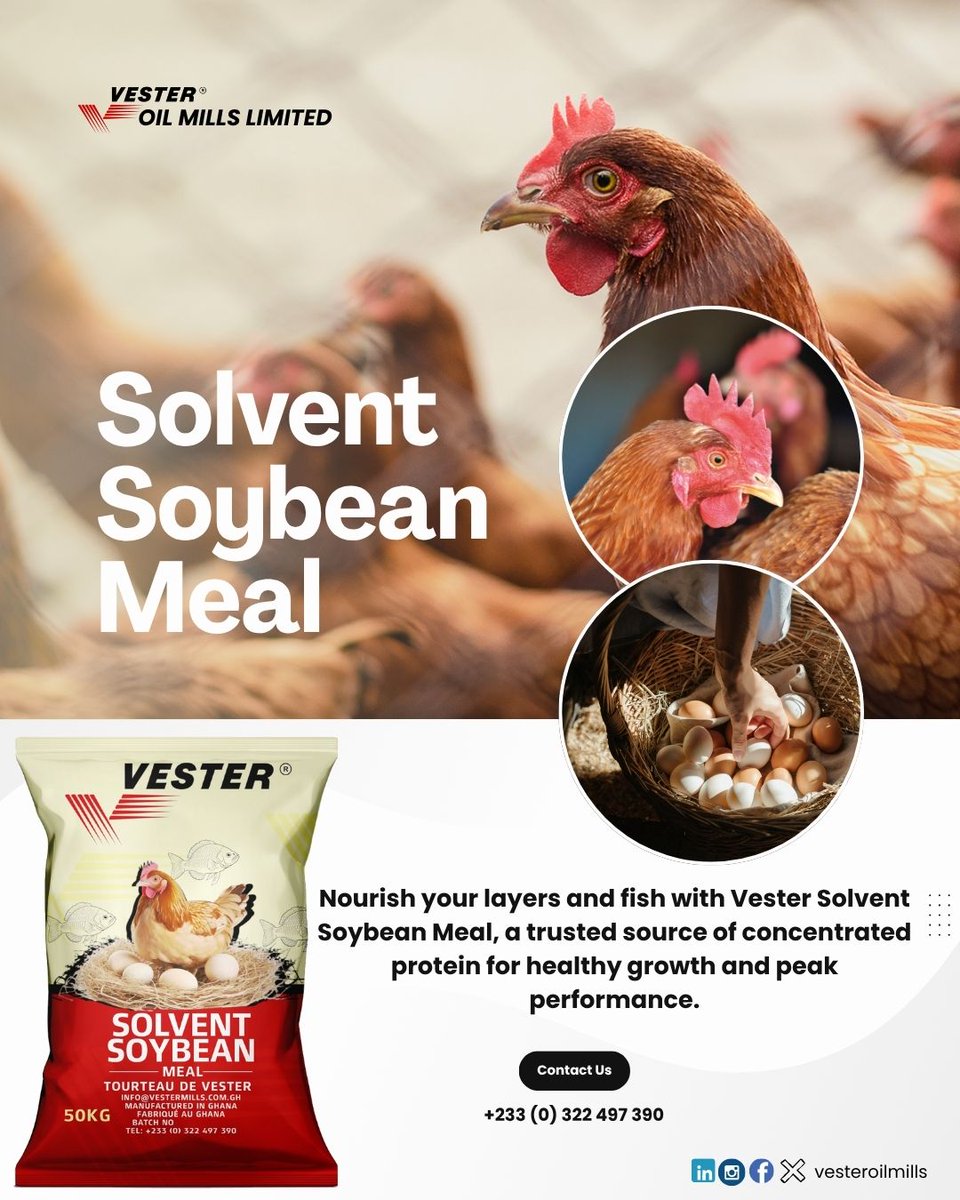 oil_vestermills's tweet photo. More eggs. Bigger fish. Stronger birds.
Vester Solvent Soybean Meal delivers 💯
📞 +233 (0) 322 497 390
#VesterOilMills
#AgroBusiness
#QualityFeed https://t.co/S9DPmlINXp