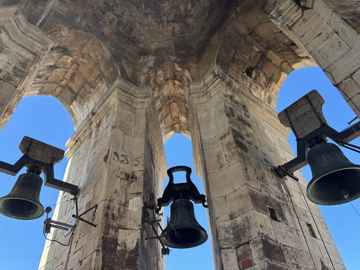 Nati Adell tweet media