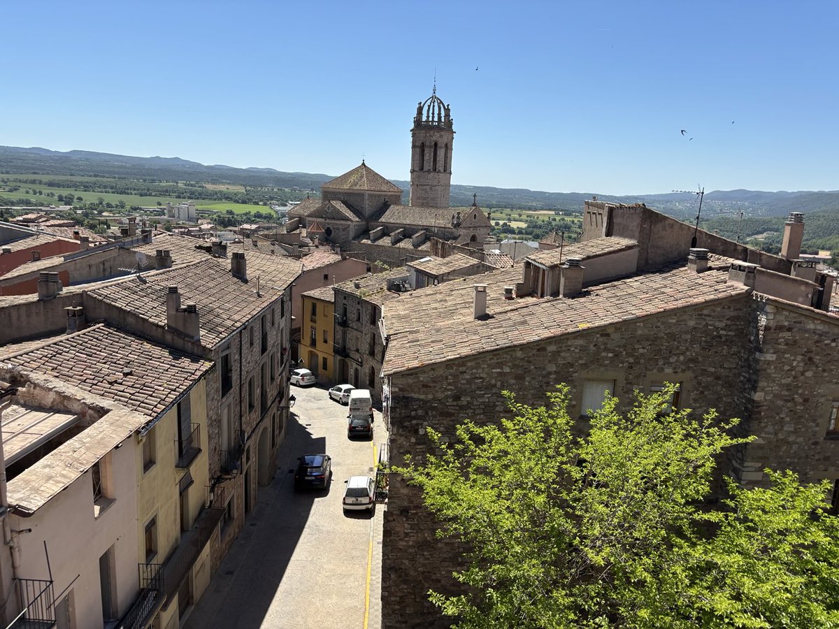 Nati Adell tweet media