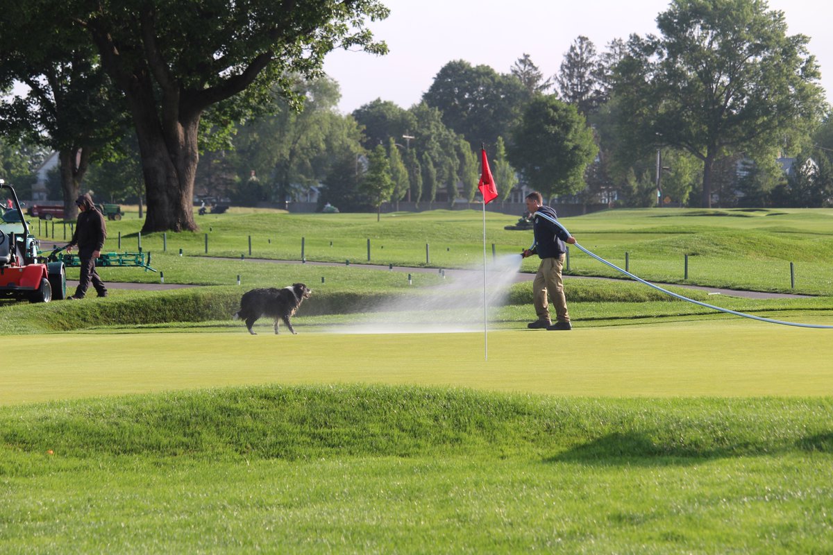 Rhode Island Golf Association (@rigalinks) on Twitter photo Wannamoisett super Mark Daniels and his crew hard at work ahead of the <a href="/NortheastAm/">Northeast Amateur</a>. Wannamoisett super Mark Daniels and his crew hard at work ahead of the <a href="/NortheastAm/">Northeast Amateur</a>.