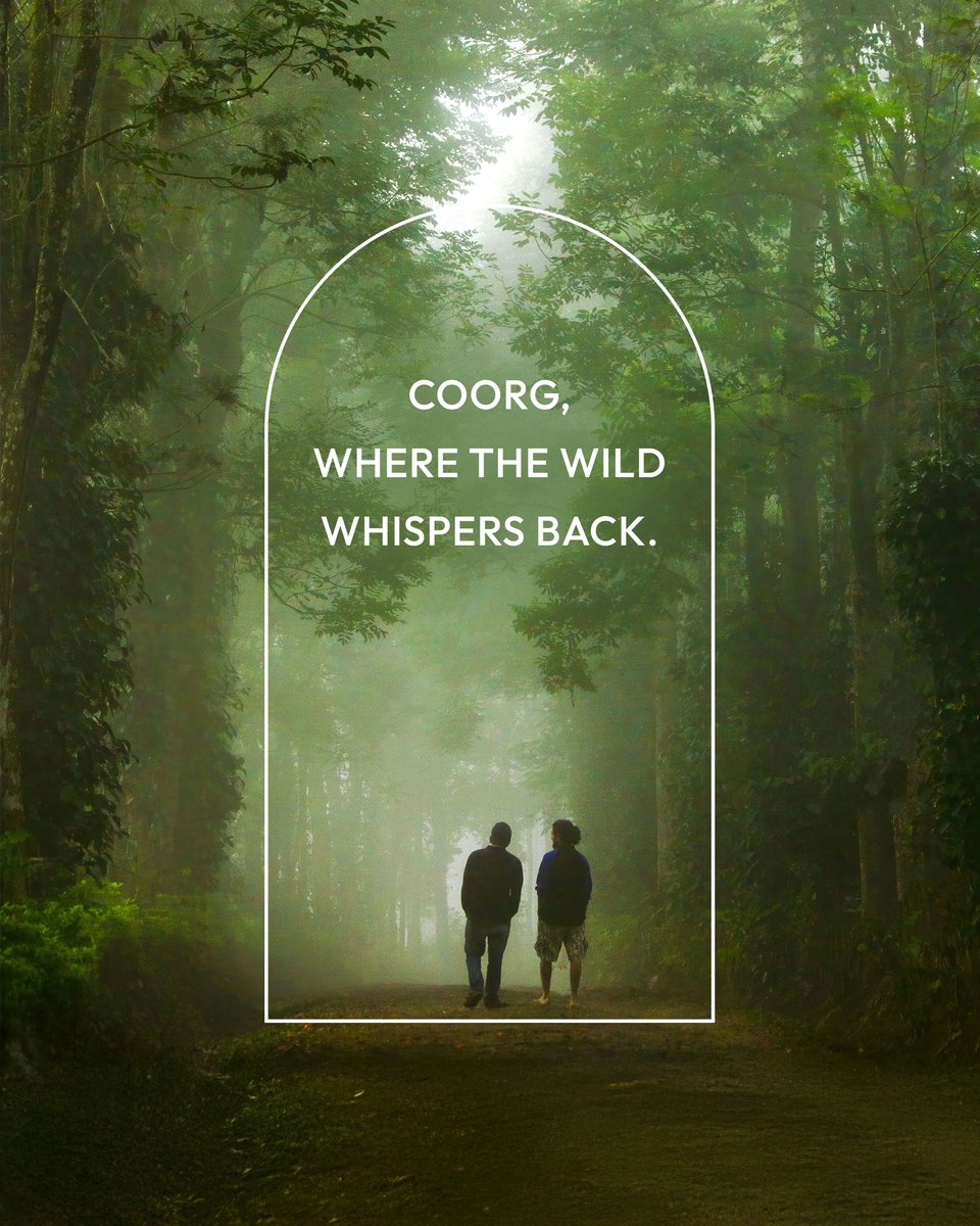 GatewayCoorg's tweet photo. In Coorg's deep embrace, every trail holds a tale. Walk alongside trees that breathe, rivers that laugh and fauna that watches you as you pass. Gateway Coorg, where thrill meets tranquility.

#Gateway #GatewayHotelsAndResorts #GatewayToTheDestination #GatewayCoorg https://t.co/QPpTgJMN2v