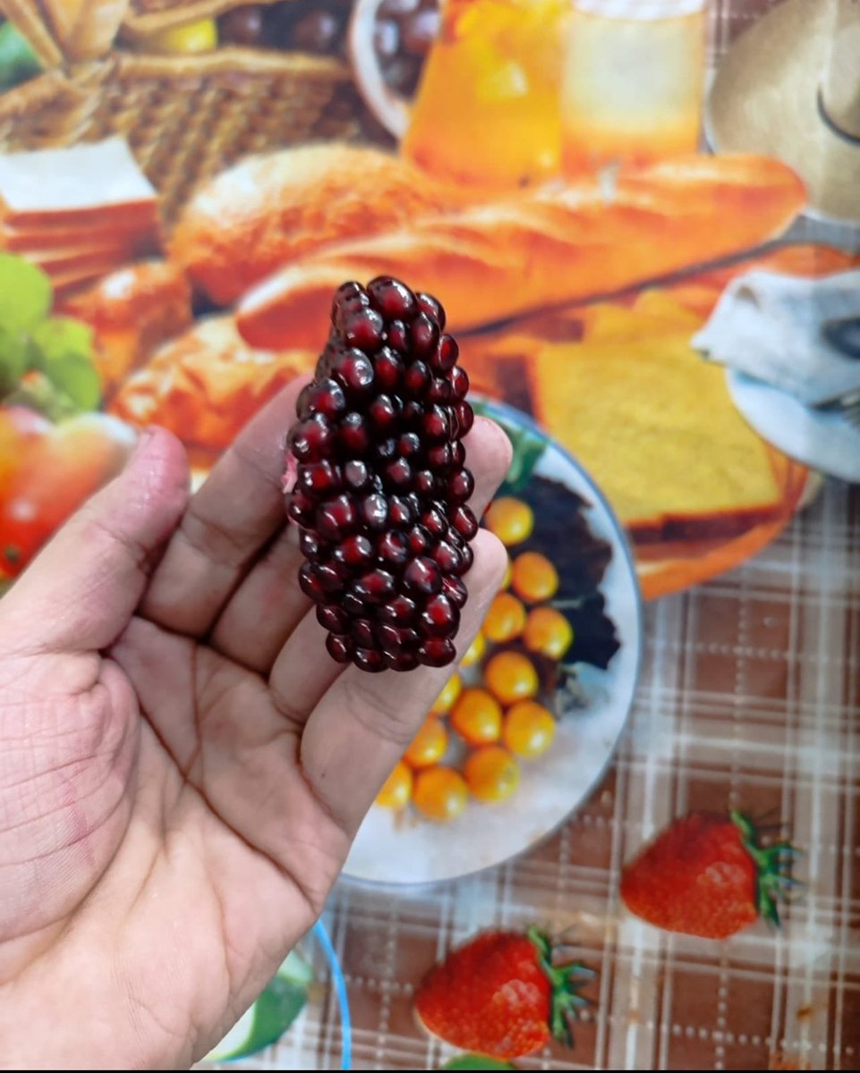 Nar tanelerini yerli yerine yerleştiren Allâh;
senin de kalbine, kimi yerleştireceğini bilir.