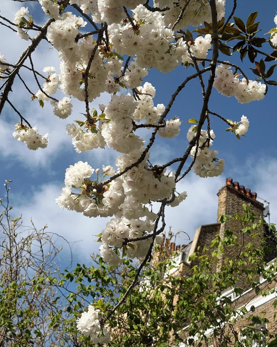 louiseroe's tweet image. louiseroe.com/2025/06/11/my-…

A tradition I&apos;ve started is to make my resolutions bite-sized, what I call my 10-Minute Resolutions. Read on to see which ones I&apos;m doing!

#resolutions #selfcare #dailyhabits