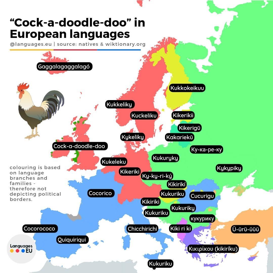 Roosters without borders.