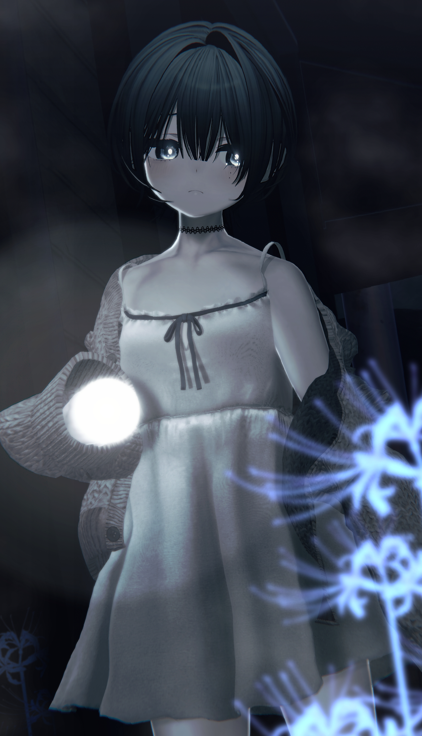 ブロちゃん kuromaru9 (@kuromaru9) / X