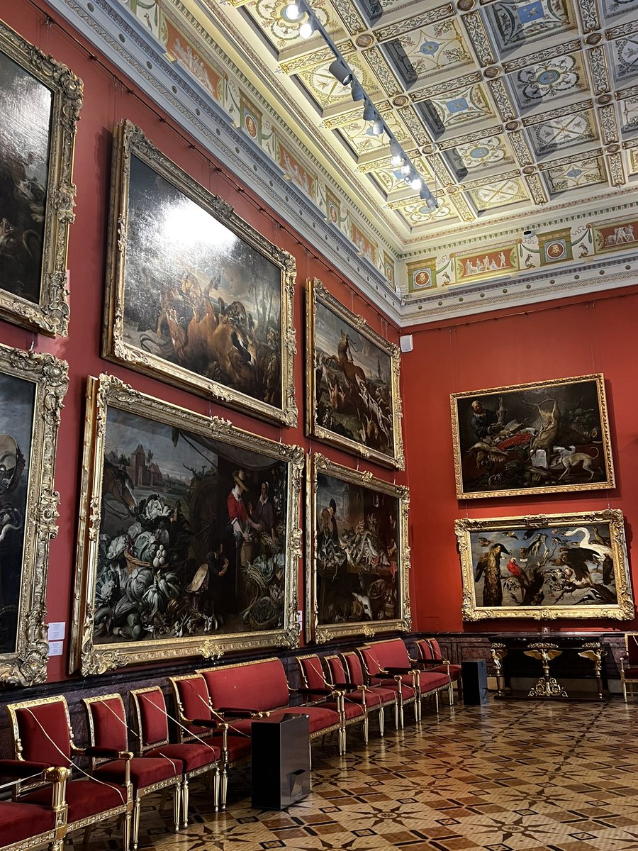 Ана Калифа 🦒 tweet media