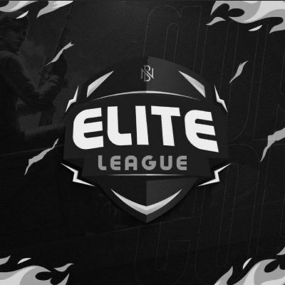Elite League🥈 tweet media