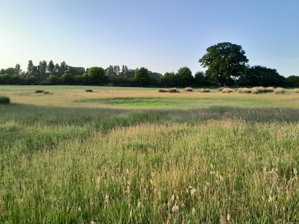 BrecksNature tweet media