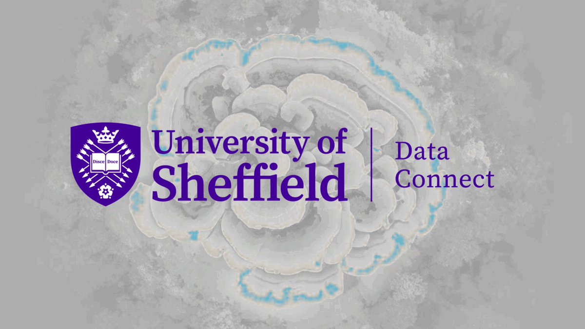 YorksHumberSDE's tweet photo. Better Care #poweredbyNHSdata
Our latest blog is telling how @DataConnectUoS CUREd+ database is helping researchers to improve healthcare through data-driven research 👇
https://t.co/kQtLEUgmKc https://t.co/wyvWsvejVM