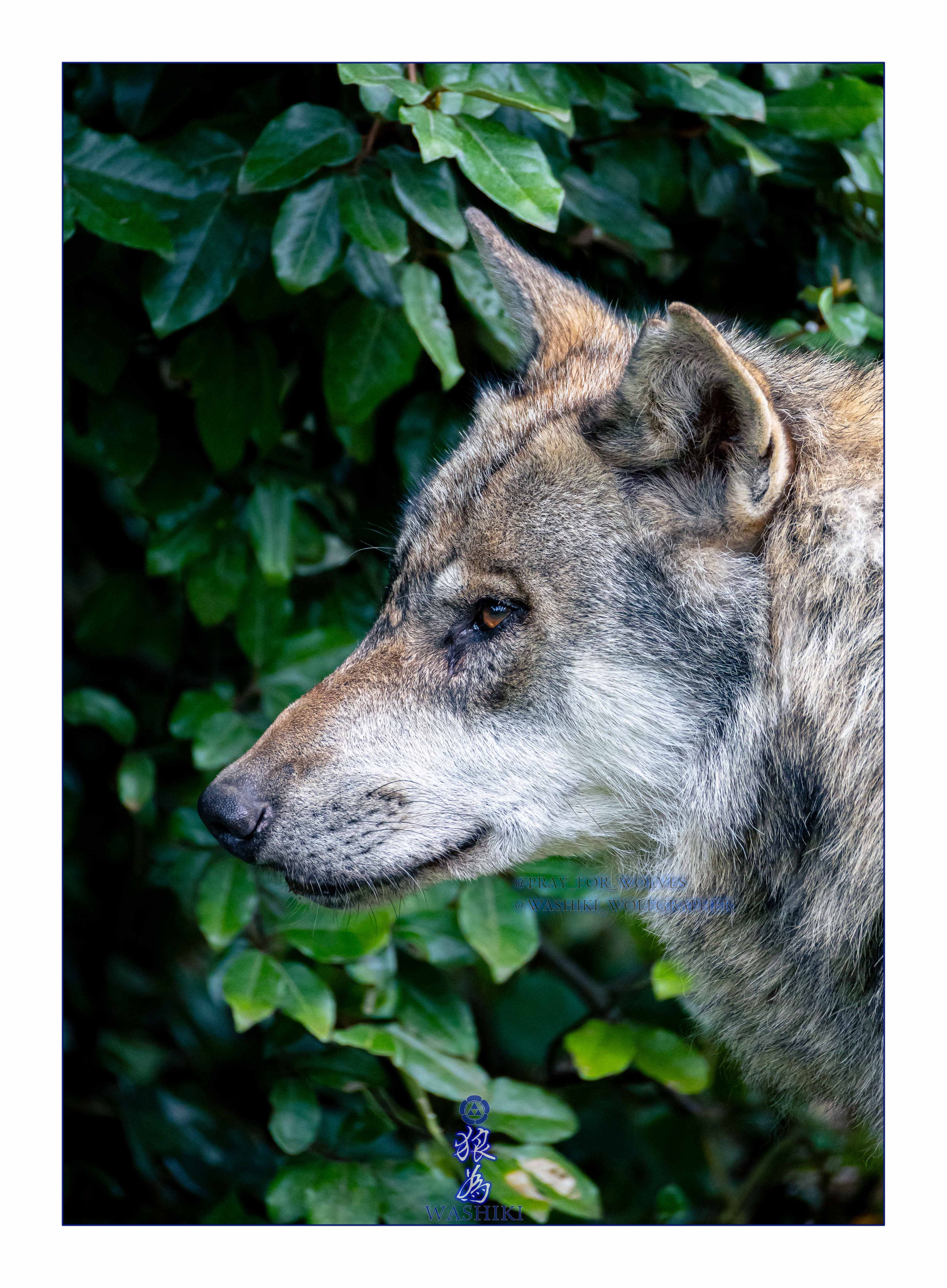 BOXフレーム付き】羊毛絵画『たんぽぽ揺れる春の訪れ』ハンドメイド