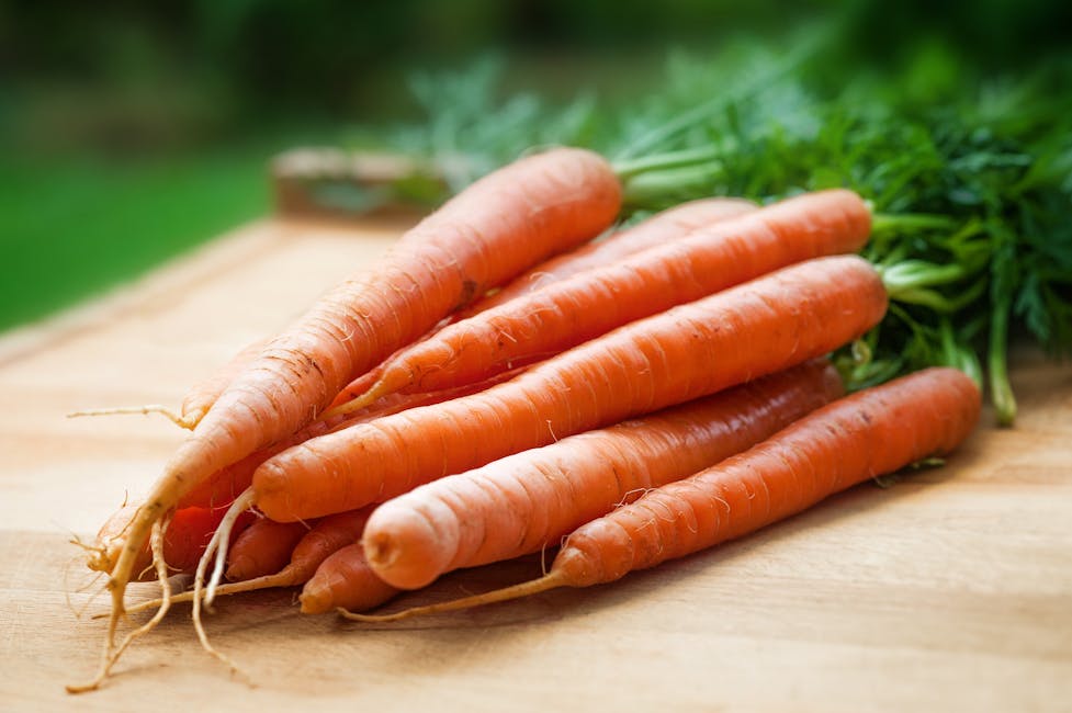 cosmi_app's tweet photo. So, I went full Bugs Bunny and ate 10 CARROTS A DAY for a month. 🥕 My skin? Unbelievably radiant. But then... THE TWIST.
My skin started turning... ORANGE. 😂 Yes, carotenemia is real! While the Vitamin A gave me a glow, too much of a good thing isn't always better. Balance is key, and it highlighted that more isn't always the answer. Sometimes, it's about the *right* amount.