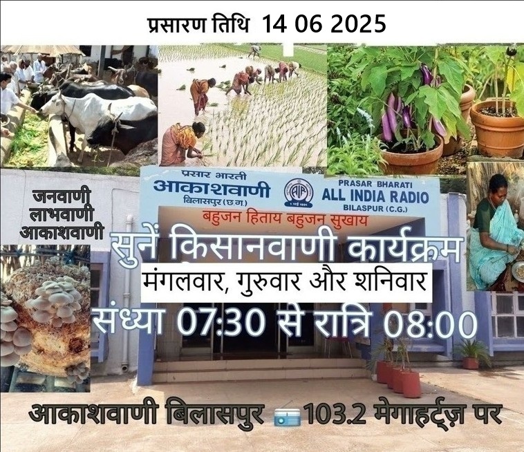 KISANVANI DB 14 06 2025
youtu.be/0KGvvOftsHM
किसानवाणी 
प्रायोजक -: कृषि व किसान कल्याण मंत्रालय भारत सरकार।
भेंटवार्ता -: धान नर्सरी प्रबन्धन
जानकारी -: मौसम, मंडी, कृषि परामर्श 
आकाशवाणी बिलासपुर की प्रस्तुति