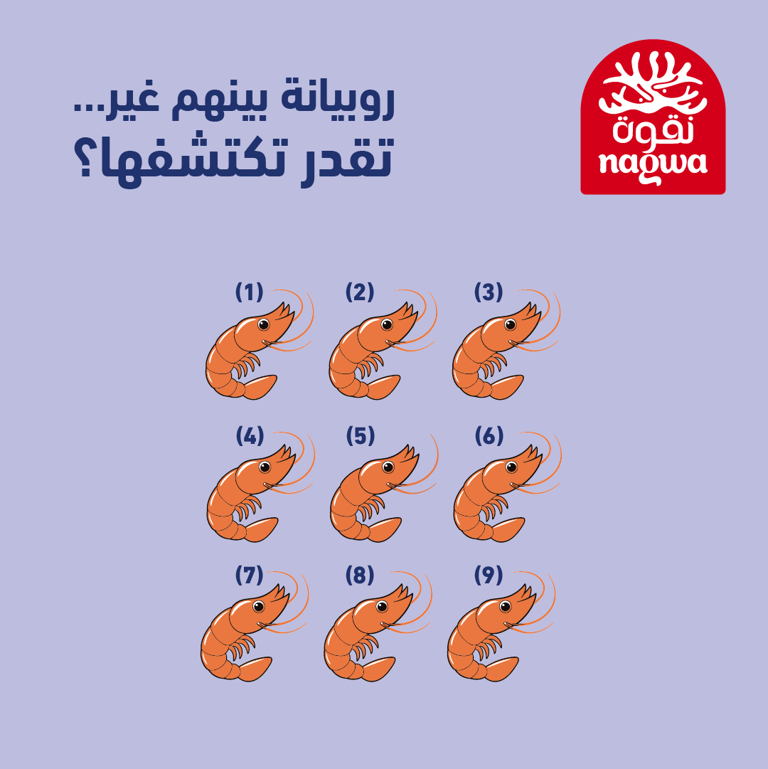 سلة متنوعة من أشهى المنتجات البحرية من #نقوا بانتظار المحظوظين!
روبيانه بينهم غير ... تقدر تكتشفها؟
شاركنا الإجابة على #تحدي_نقوة
✅ تابعنا
✅ ريتويت
✅ منشن أصدقائك