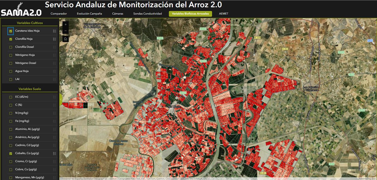 sama20ioteu's tweet photo. 🛰️🗺️🌾 Los #arroceros han conocido el #geovisor de #SAMA20, una herramienta que les permite ver sus parcelas, compararlas en tiempo real con años anteriores y anticiparse en la toma de decisiones para llevar a cabo los tratamientos necesarios https://t.co/tMfLHMAkJB